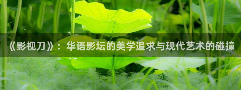 草莓视频草莓视频