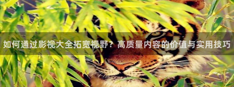 丝瓜樱桃草莓视频