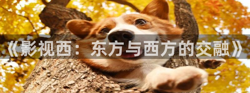 51草莓看视频在线观看免费