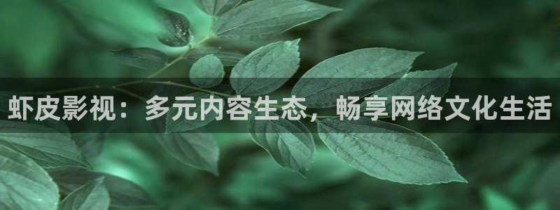 草莓在线视频一区二区