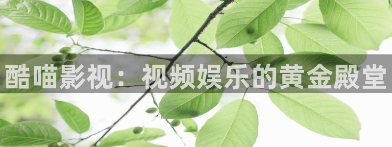 草莓视频app在线下载